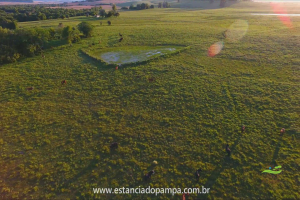 Fazenda Reconquista - Cachoeira do Sul.00_02_56_01.Quadro029_0c48e740766e11b2db0e60c6de2ba1cbdf112852.png